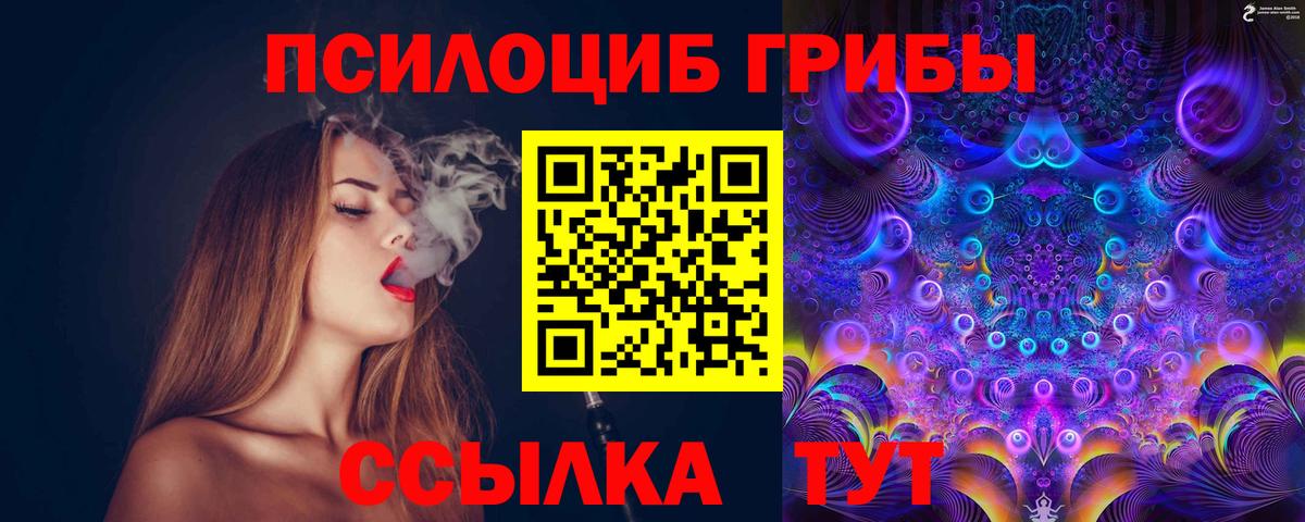 Галлюциногенные грибы Cubensis  Вход с VPN  продажа наркотиков  Волгодонск 
